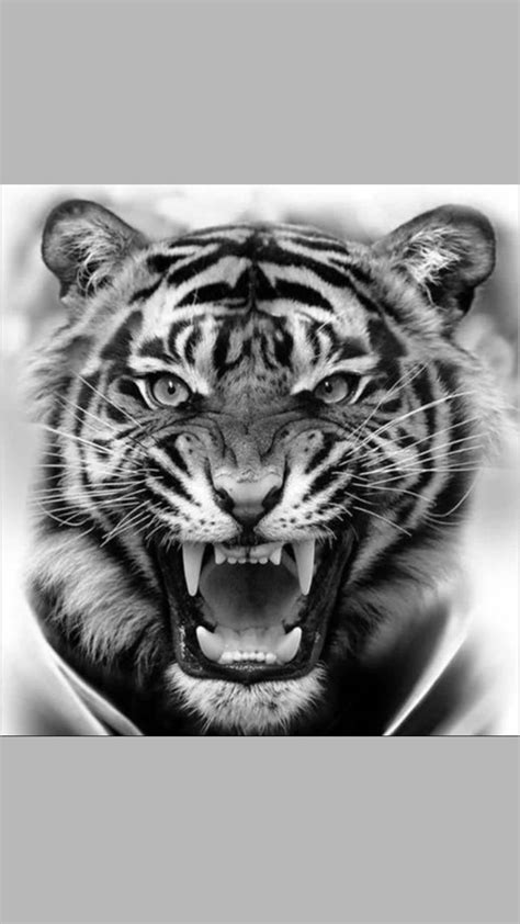 Tiger Tattoo Ideas Artofit