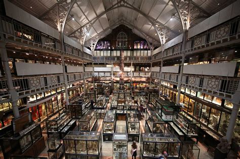 The Pitt Rivers Museum Things To See And Do In Oxford