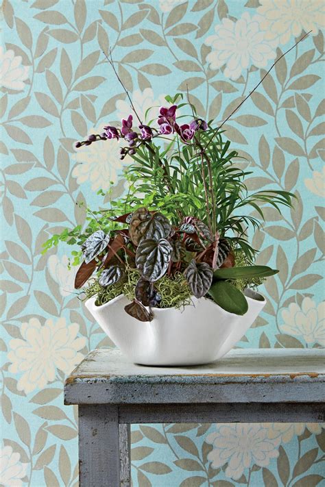 Indoor Container Garden Ideas Southern Living