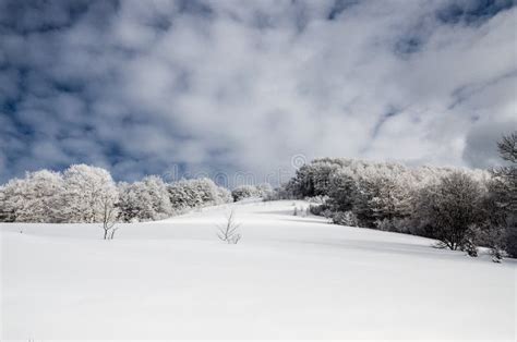 Beautiful Winter Landscape With Snowy Mountains Winter Scene Snowy