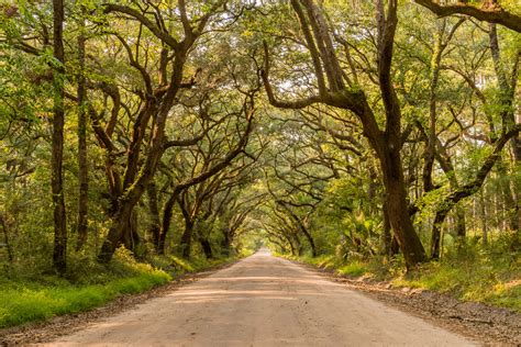 Botany Bay Road Botany Bay Road At Edisto Island Sc The L Flickr