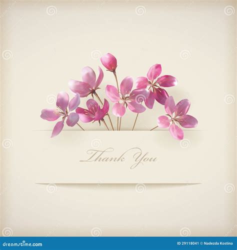 Floral Spring Vector Thank You Pink Flowers Card Stock Image Image