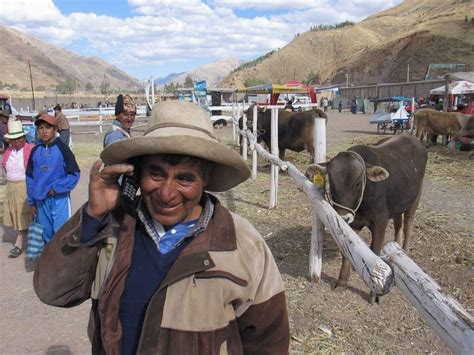 Población Rural Del Cusco Destaca Importancia De Telefonía Móvil En