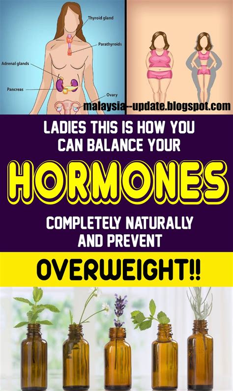 Here Is How To Balance Female Hormones Naturally Health And Wellness