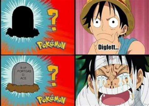 The Best One Piece Anime Memes Amp Jokes Gambaran