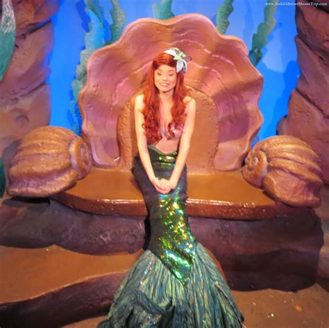 Ariel Disneyland