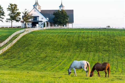 Lexington Kentucky Horse Farm Don Sniegowski Flickr