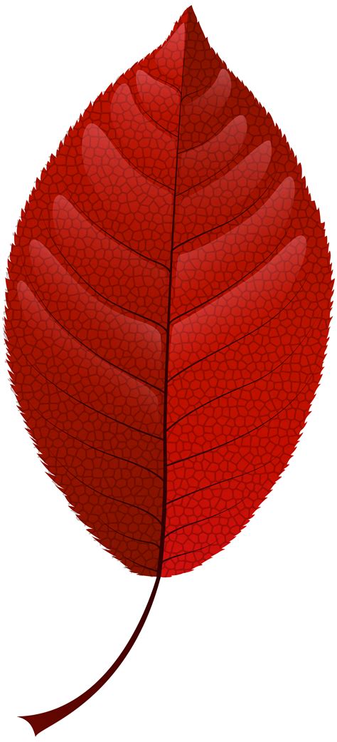 Red Fall Leaf Png Clip Art Best Web Clipart