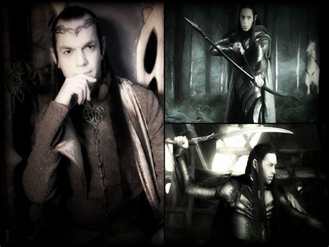 Elrond And Sons Elladan And Elrohir The Misty Mountains Cold The