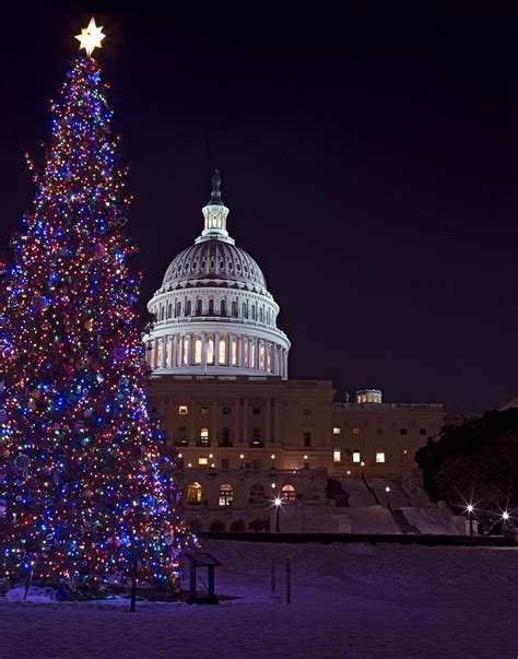 United States Capitol Christmas Tree Photograph By Brendan Reals