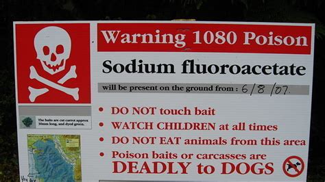 Petition · Jami Lee Ross Ban The Use Of 1080 Poisoning In