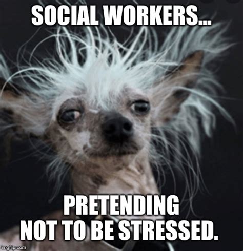 Social Work Memes