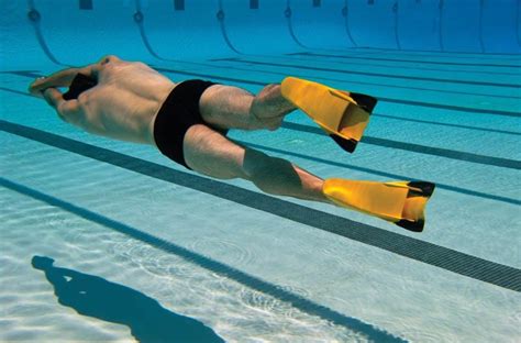 Natación Con Aletas Entrenamiento Y Todo Lo Que Desconoce