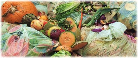 Food Waste Infrastructure In Disposal Ban States Biocycle Biocycle