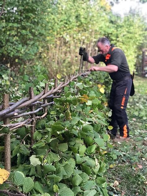 Hrdf is currently developing a learning marketplace with the objective to increase visibility on the training providers, trainers and the. Hedgelaying & Coppicing Training Courses - 2020/21 at ...