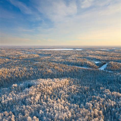 593 Top View Forest River Winter Morning Photos Free And Royalty Free