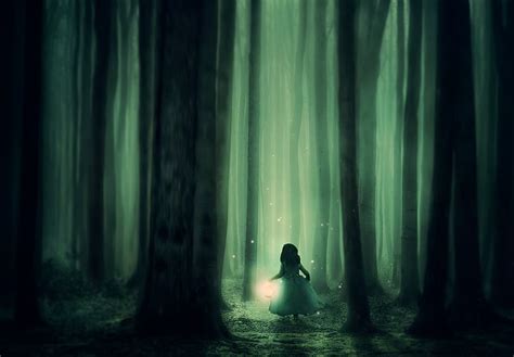 Hd Wallpaper Forest Girl Trees Fog Lantern Lighting Atmosphere