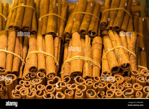Bundles Of Cinnamon Sticks In Stock Stock Photo Alamy
