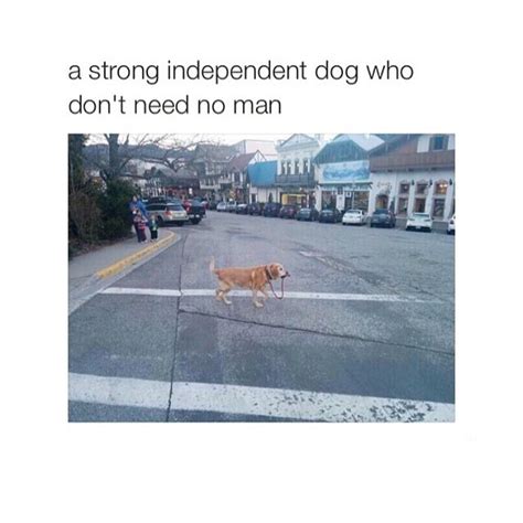 A Strong Independent Dog Who Dont Need No Man Funny