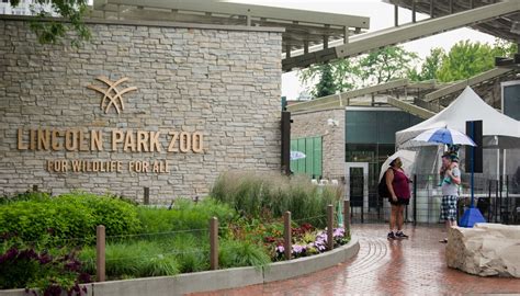 El Zoológico Lincoln Park Cerrará El 4 De Enero Temporalmente Chicago