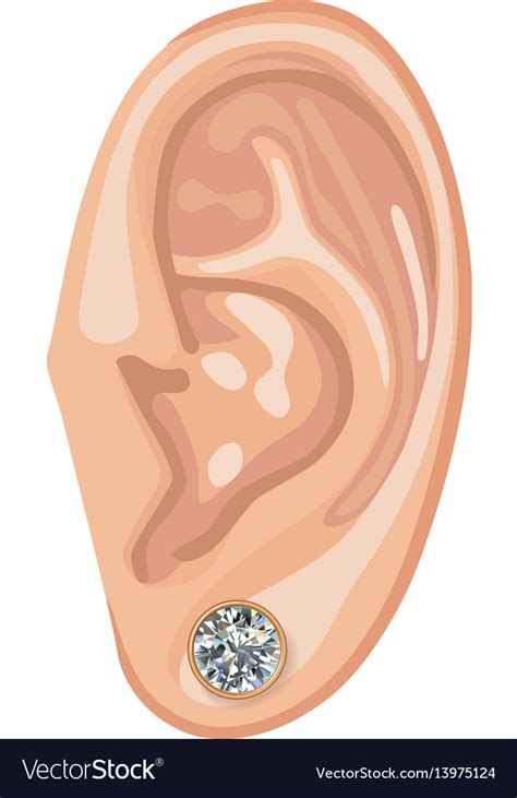 Human Ear And Earring Royalty Free Vector Image