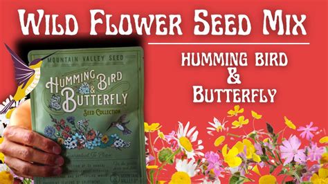 Hummingbirdbutterfly Wildflower Seed Mix Youtube