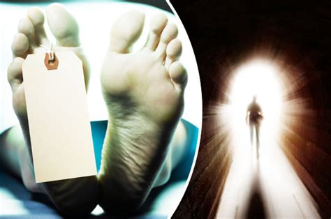 Life After Death Evidence Shows Human Body Lives On After Death