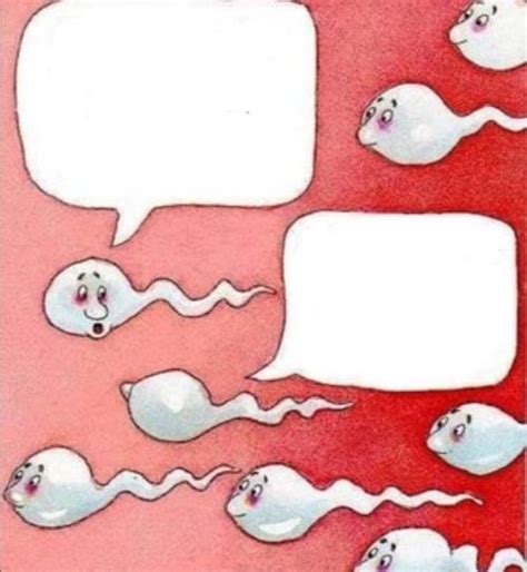 Sperm Cells Heading Towards Template R Memetemplatesofficial