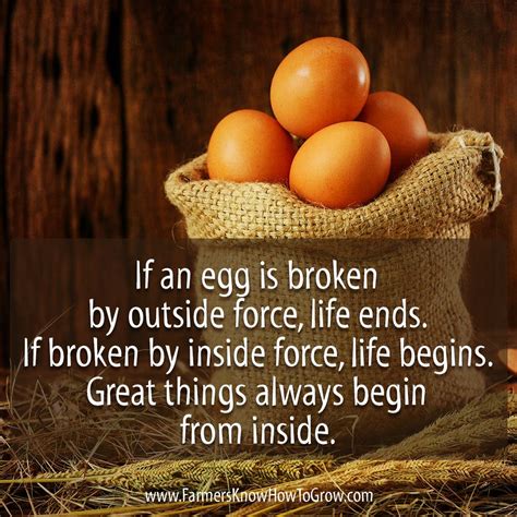 If An Egg Is Broken By Outside Force Life Ends If Broken By Inside