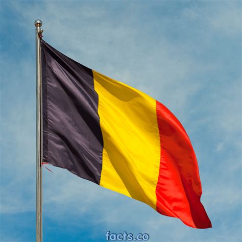 (0,0,0 each stripe is exactly 1/3 of the width of the flag. Flag Of Belgium - The Symbol Of Independence. Pictures ...