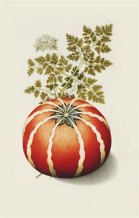 Vintage Halloween Pumpkin Painting By Antique Paper Print Fine Art