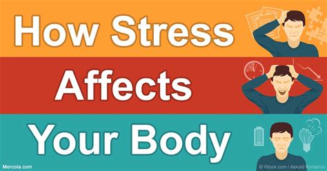 Stress And Your Body The Center For Health And Sports Medicine