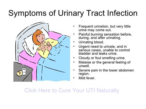 If a uti affects the kidneys, it can cause pain. Symptoms Of Urinary Tract Infection
