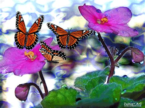 See more ideas about butterfly gif, butterfly, beautiful butterflies. animated butterfly gif | ButterfliesMonarchFlowersPink ...