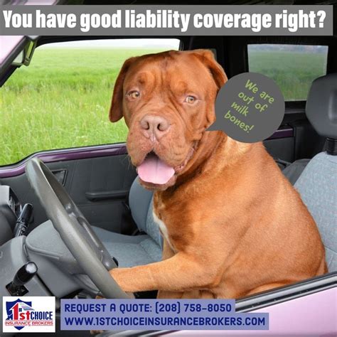 You can also get everything under one roof from car insurance to medical insurance to travel insurance. Do you have good liability limits? Give us a like @ #1stchoiceinsurancebrokers Request a quote ...