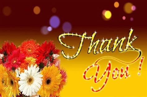 Best Thank You Ecard For Everyone Free For Everyone Ecards 123 Greetings