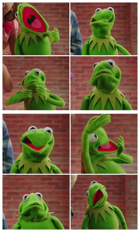 Download Kermit The Frog Meme Face Png And Base Images And Photos Finder
