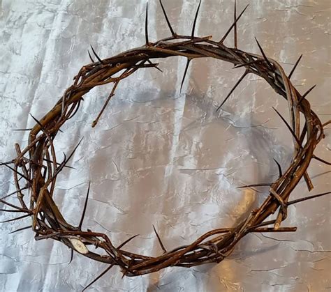 Real Crown Of Thorns Wooden Wreath From Hawthorn Branches Etsy