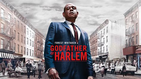 Add interesting content and earn coins. Top 3 Reasons Why 'Godfather of Harlem' Is The Best Show ...