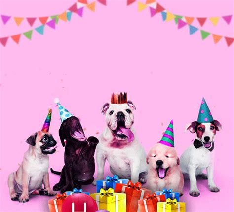 Funny Dog Birthday Wish Free Funny Birthday Wishes Ecards 123