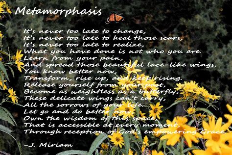 Metamorphosis Poems