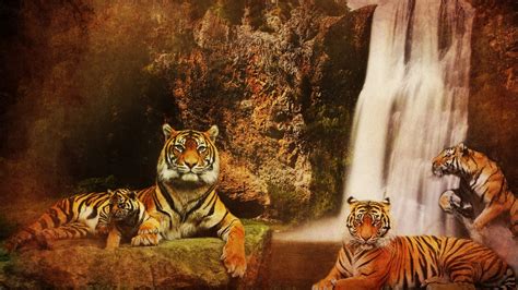 Download Wallpaper 1920x1080 Tigers Waterfalls Mountains Background