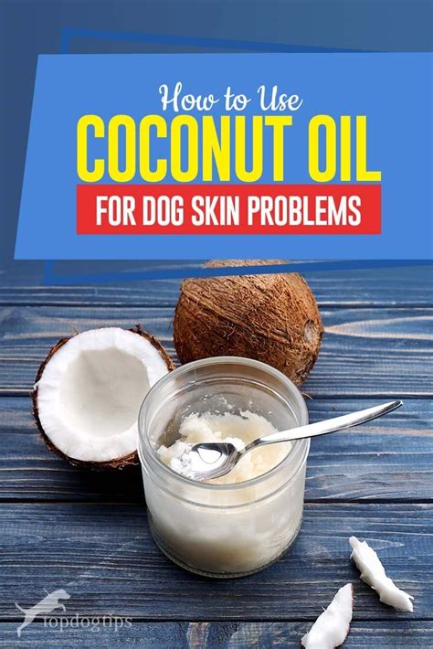 Coconut Oil For Dog Skin Apply And Cure Skin Problems Based On Studies