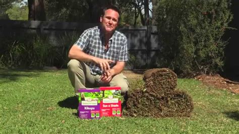 Before you lay down sod, you need to remove your existing grass. How to lay a new lawn. Quick & easy! - YouTube