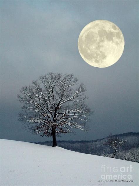 Winters Moon Winter Moon Beautiful Moon Good Night Moon