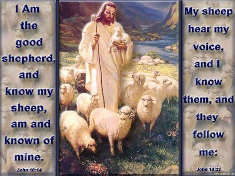 Please enjoy these quotes about shepherd and love. The Good Shepherd Jesus Quotes. QuotesGram