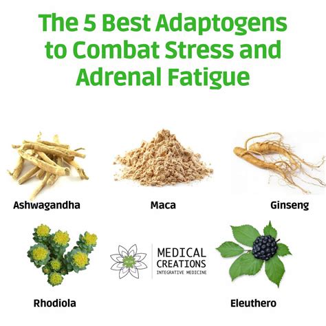 Pin By Shelby Keng On Health Adrenal Fatigue Healing Herbs Herbs For Health