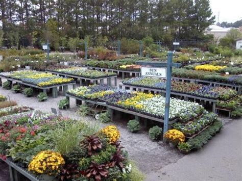 This sprawling garden center is part plant provider, part landscaping inspiration center, and 100 percent service oriented. About Us, Plant Nursery Athens GA, Bogart GA Plant Store ...