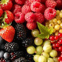 Диета отзывы 2468 Диета 2468: отзывы, меню, особенности питания Диета 2468: отзывы, меню, особенности питания Диета отзывы 2468