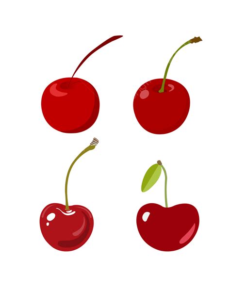 Cherry Fruit Clipart Vector Fresh Sweet Red Cherry Vector Fruit